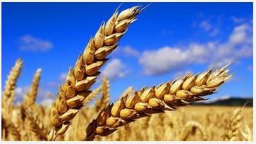 新成立廣州公司必知的10個(gè)基本會(huì)計(jì)常識