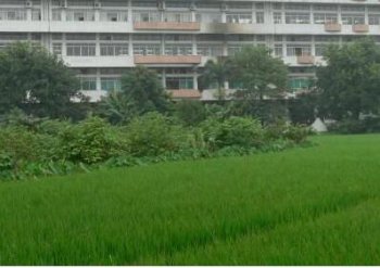 廣州注冊(cè)工貿(mào)公司一般走的流程